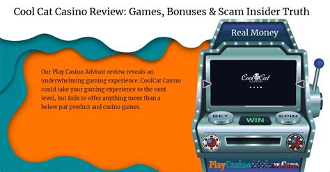 cool cat casino review|is cool cat casino legit.